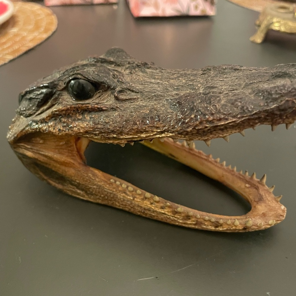 Realistic Brown Reptile Head Decor